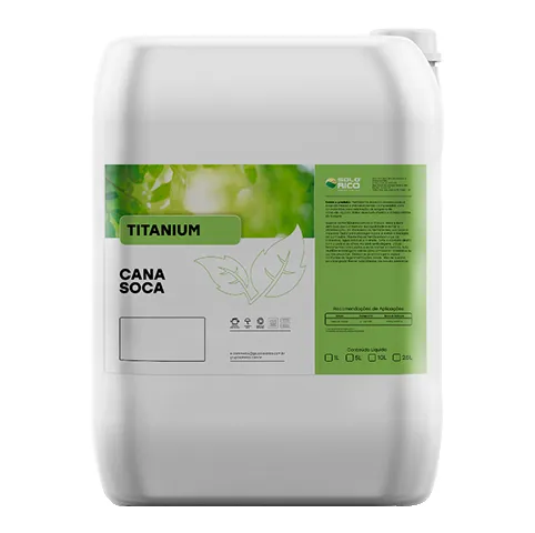 Cana Soca