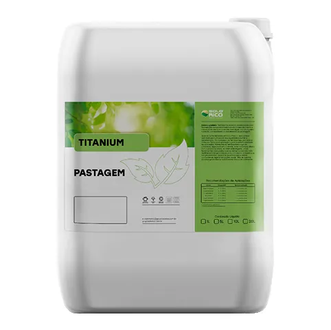 Pastagem